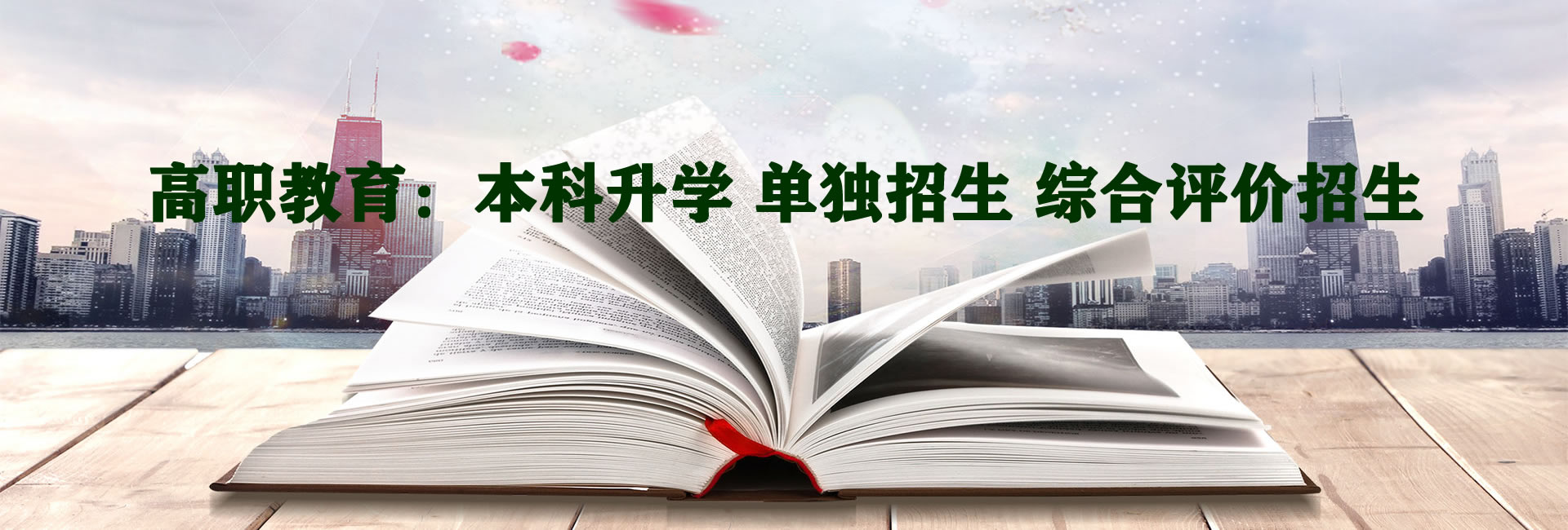 高职教育